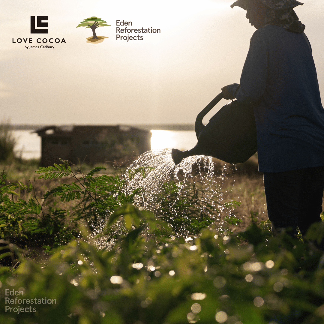 Chocolate-that-Plants-Trees-and-Protects-the-Planet Love Cocoa