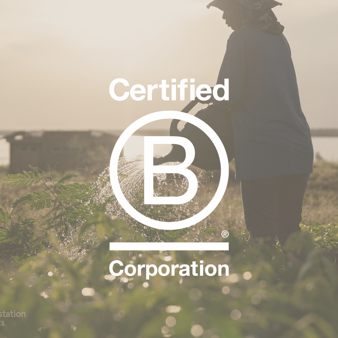 Love-Cocoa-is-Officially-B-Corp-Certified Love Cocoa