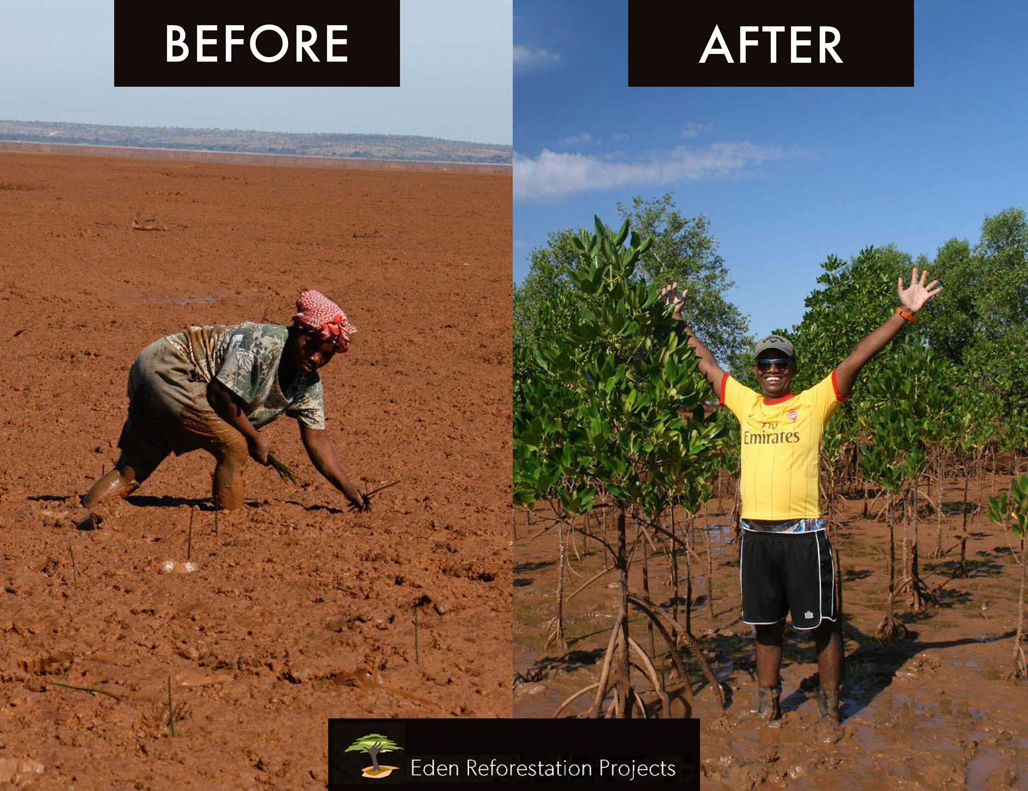 An-update-on-our-tree-planting-project Love Cocoa