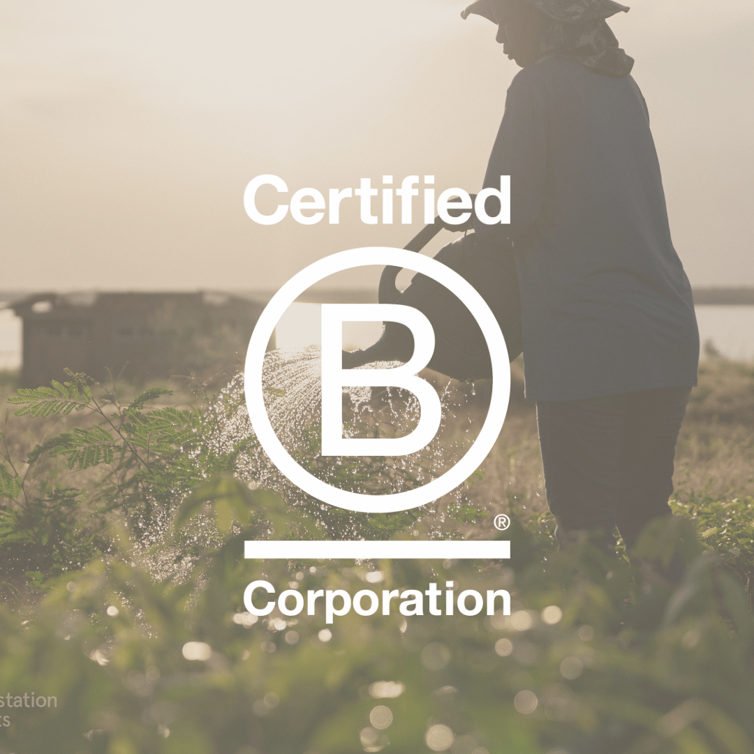 Love Cocoa is Officially B Corp Certified