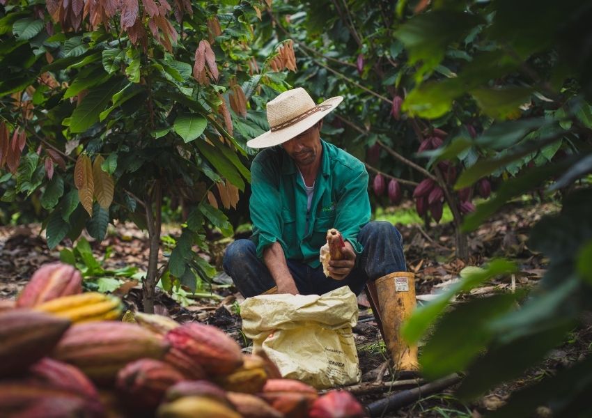 We handcraft unique luxury chocolates made with single origin cacao from Colombia, Peru and Ecuador.